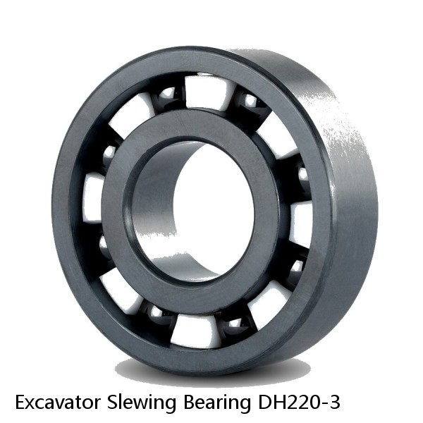 Excavator Slewing Bearing DH220-3