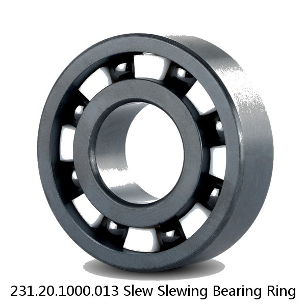 231.20.1000.013 Slew Slewing Bearing Ring