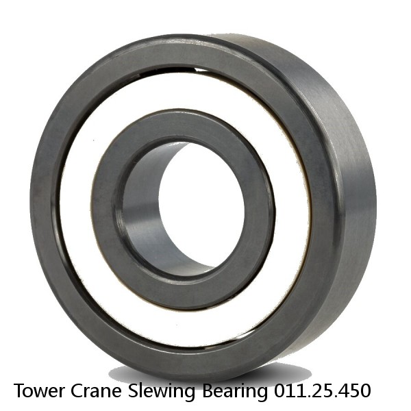 Tower Crane Slewing Bearing 011.25.450