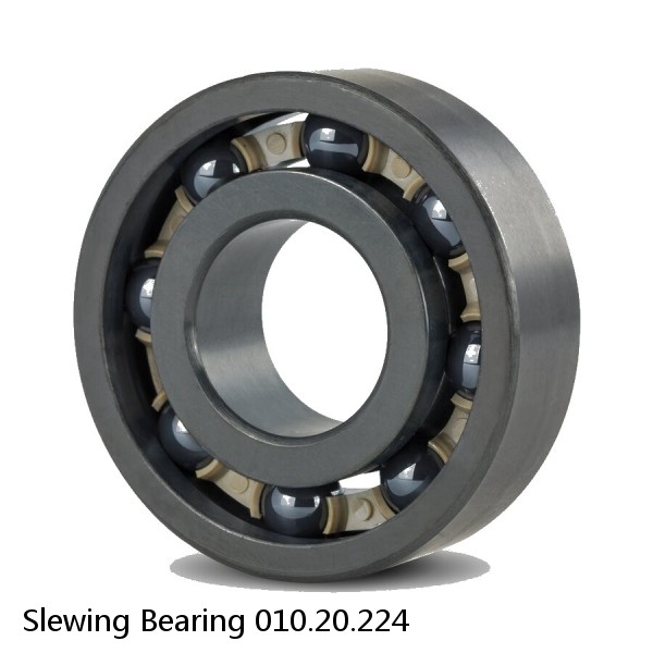 Slewing Bearing 010.20.224