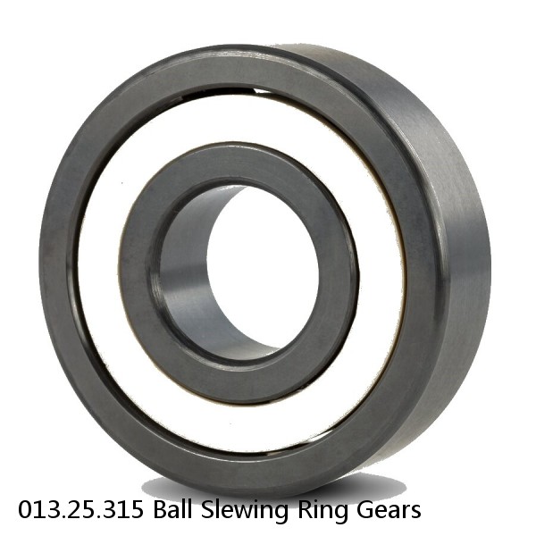 013.25.315 Ball Slewing Ring Gears