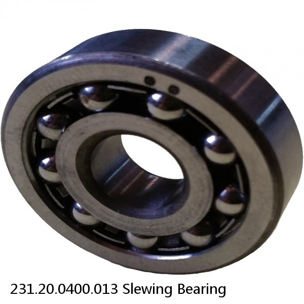 231.20.0400.013 Slewing Bearing