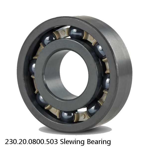 230.20.0800.503 Slewing Bearing