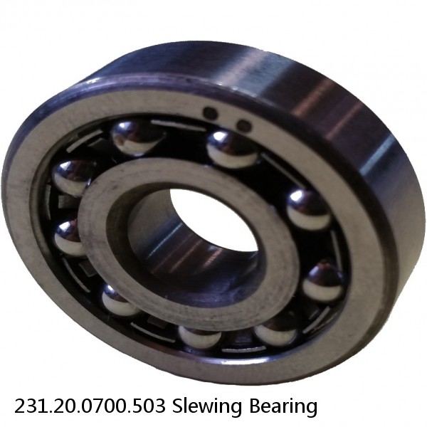 231.20.0700.503 Slewing Bearing