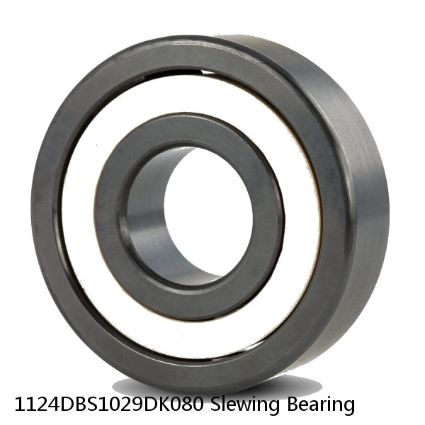 1124DBS1029DK080 Slewing Bearing