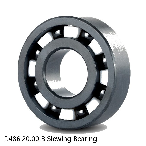 I.486.20.00.B Slewing Bearing