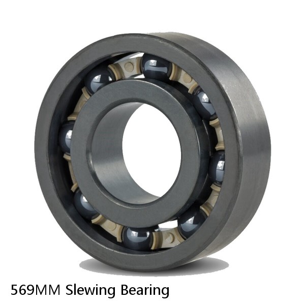 569MM Slewing Bearing