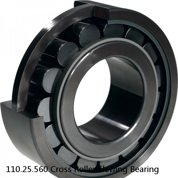 110.25.560 Cross Roller Slewing Bearing