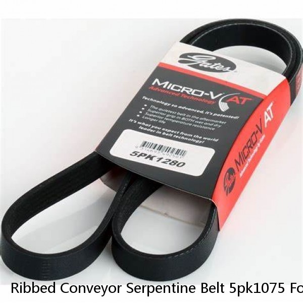 Ribbed Conveyor Serpentine Belt 5pk1075 For Auto Engine Part Drive Belt