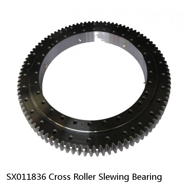 SX011836 Cross Roller Slewing Bearing