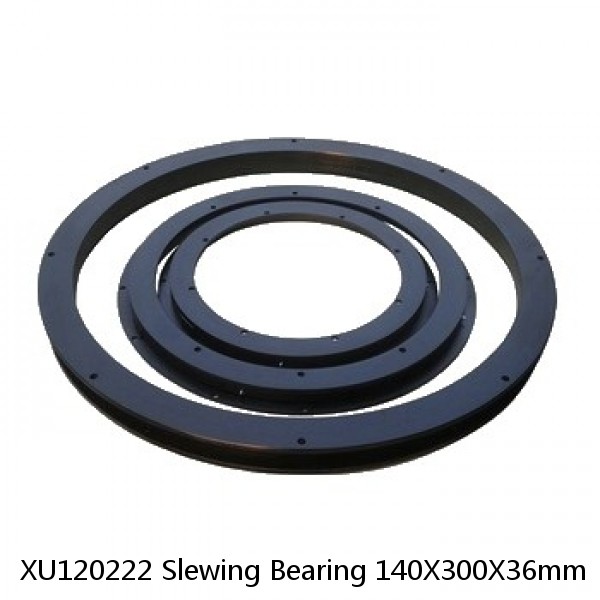 XU120222 Slewing Bearing 140X300X36mm