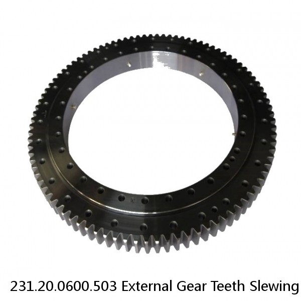 231.20.0600.503 External Gear Teeth Slewing Bearing