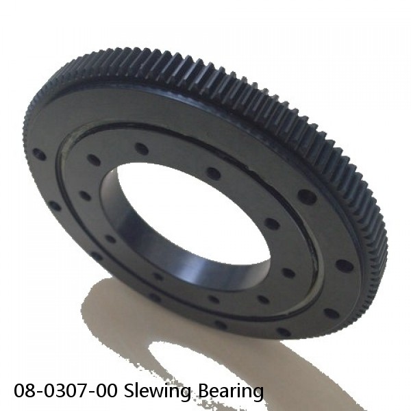 08-0307-00 Slewing Bearing