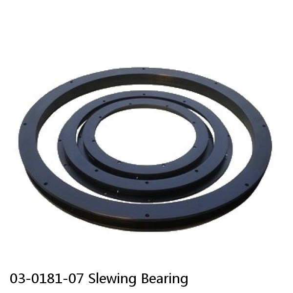 03-0181-07 Slewing Bearing