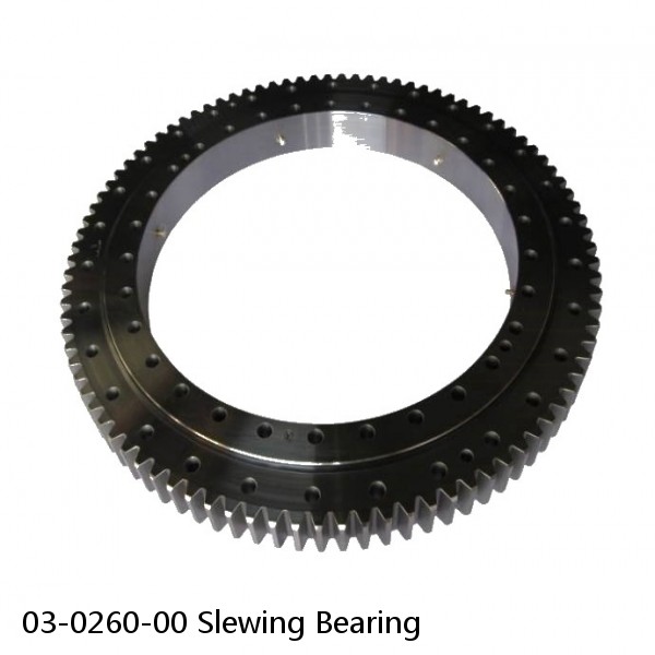 03-0260-00 Slewing Bearing