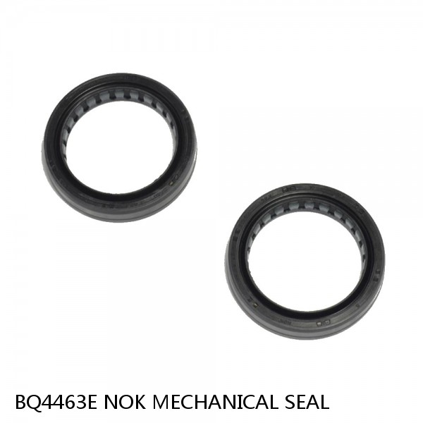 BQ4463E NOK MECHANICAL SEAL