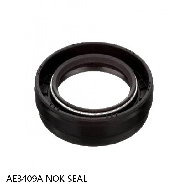 AE3409A NOK SEAL