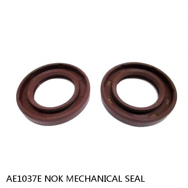 AE1037E NOK MECHANICAL SEAL