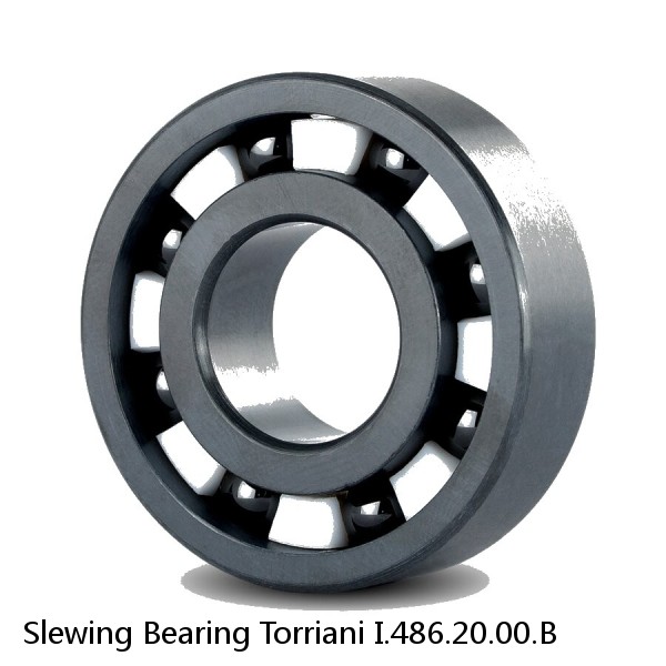 Slewing Bearing Torriani I.486.20.00.B