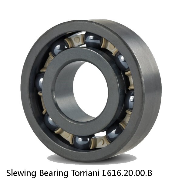 Slewing Bearing Torriani I.616.20.00.B