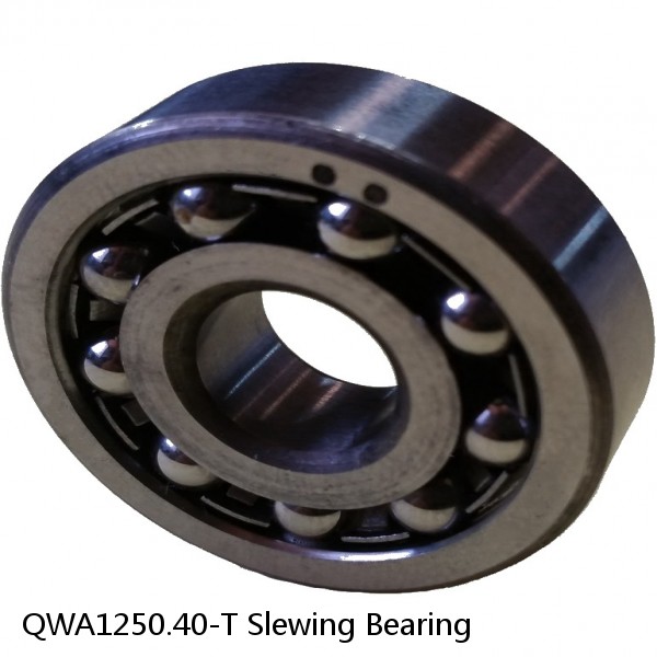 QWA1250.40-T Slewing Bearing