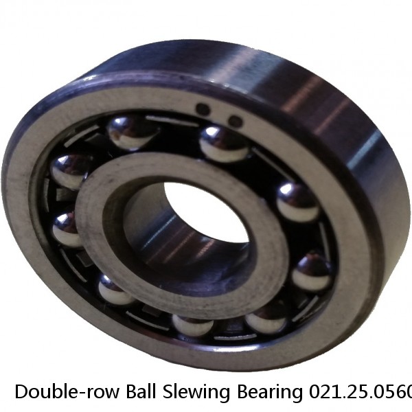 Double-row Ball Slewing Bearing 021.25.0560