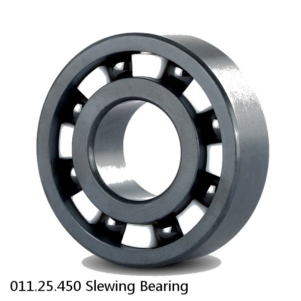 011.25.450 Slewing Bearing