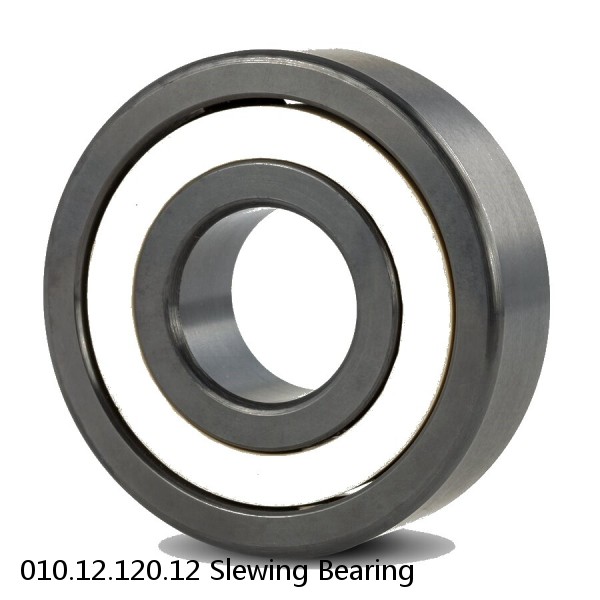 010.12.120.12 Slewing Bearing