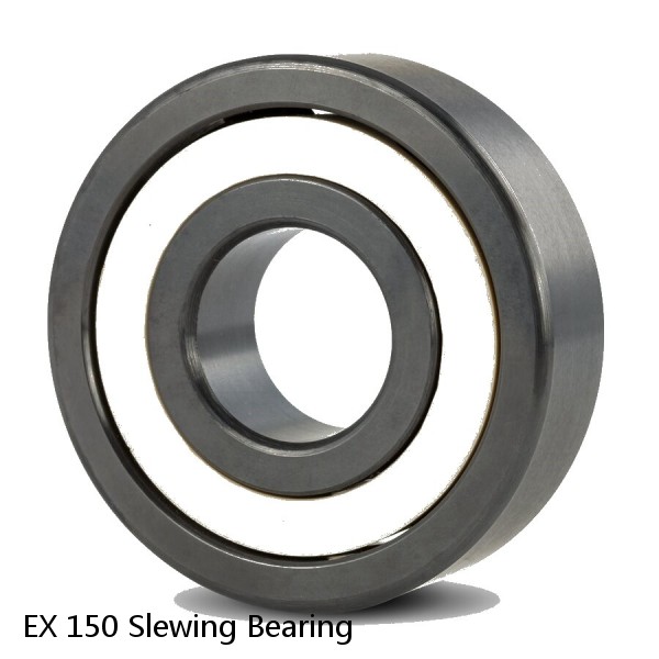 EX 150 Slewing Bearing