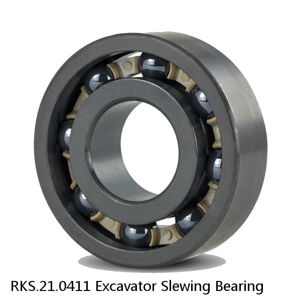 RKS.21.0411 Excavator Slewing Bearing