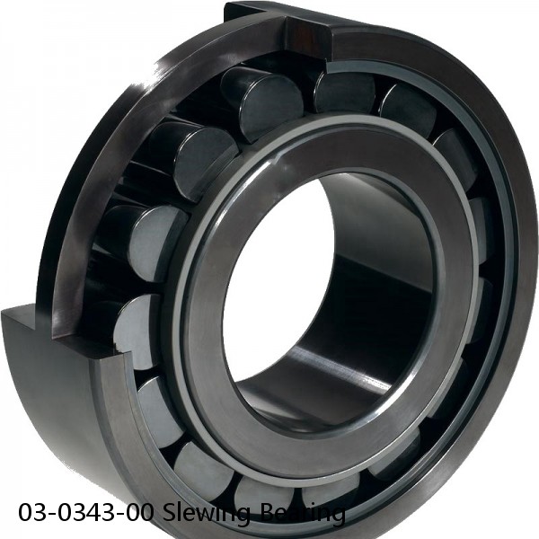 03-0343-00 Slewing Bearing