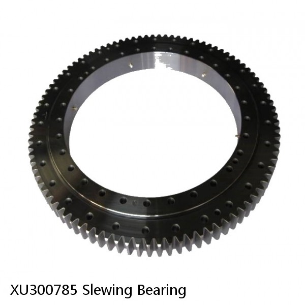 XU300785 Slewing Bearing