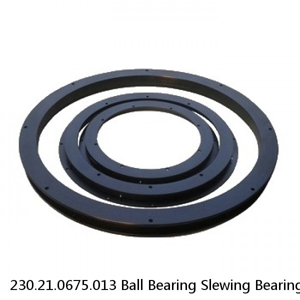 230.21.0675.013 Ball Bearing Slewing Bearing