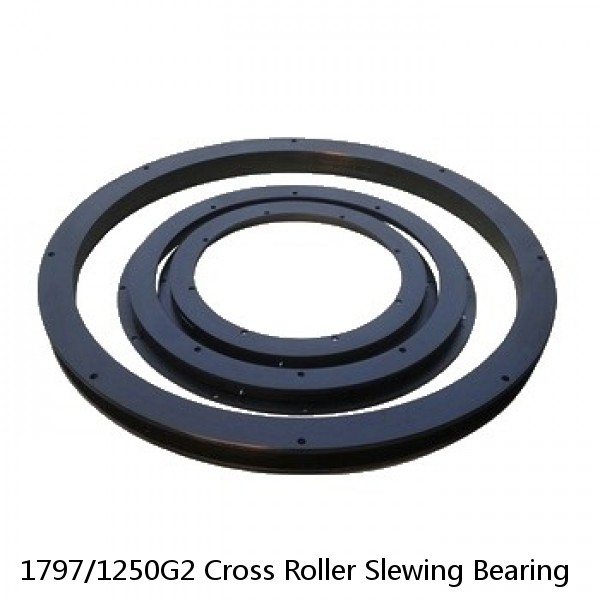 1797/1250G2 Cross Roller Slewing Bearing