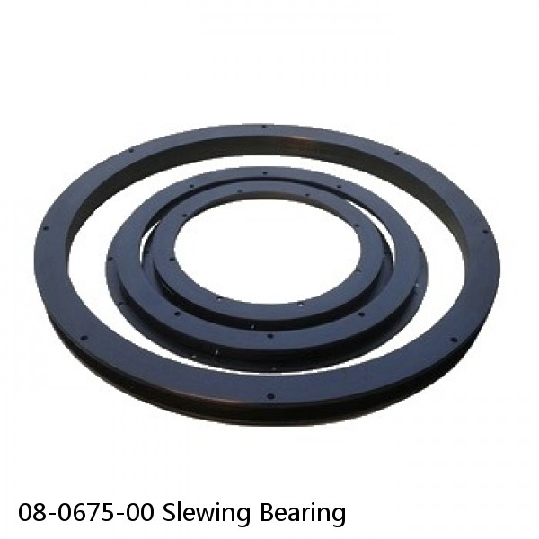 08-0675-00 Slewing Bearing